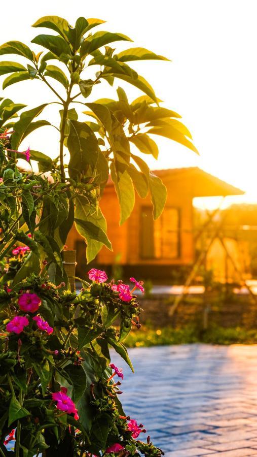 Lemon Garden Lodge Чирали Экстерьер фото