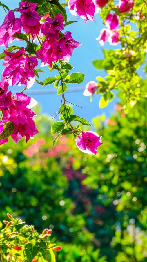 Lemon Garden Lodge Чирали Экстерьер фото