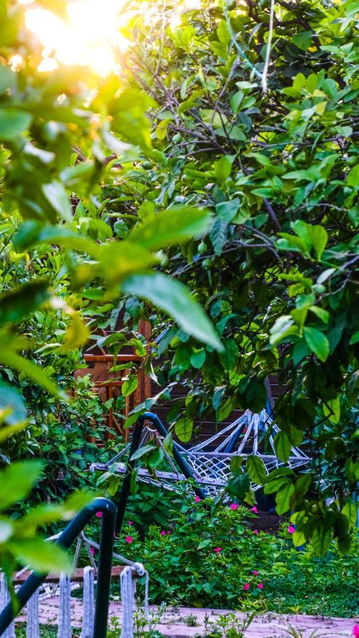 Lemon Garden Lodge Чирали Экстерьер фото