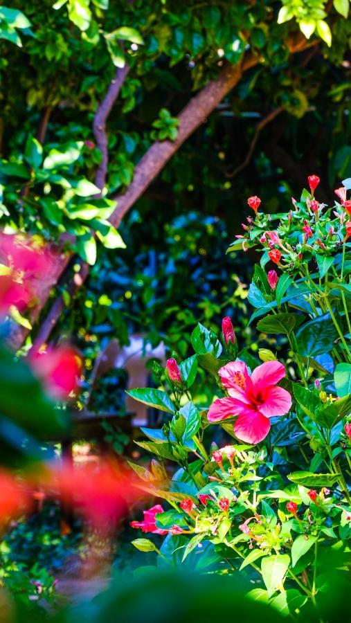 Lemon Garden Lodge Чирали Экстерьер фото