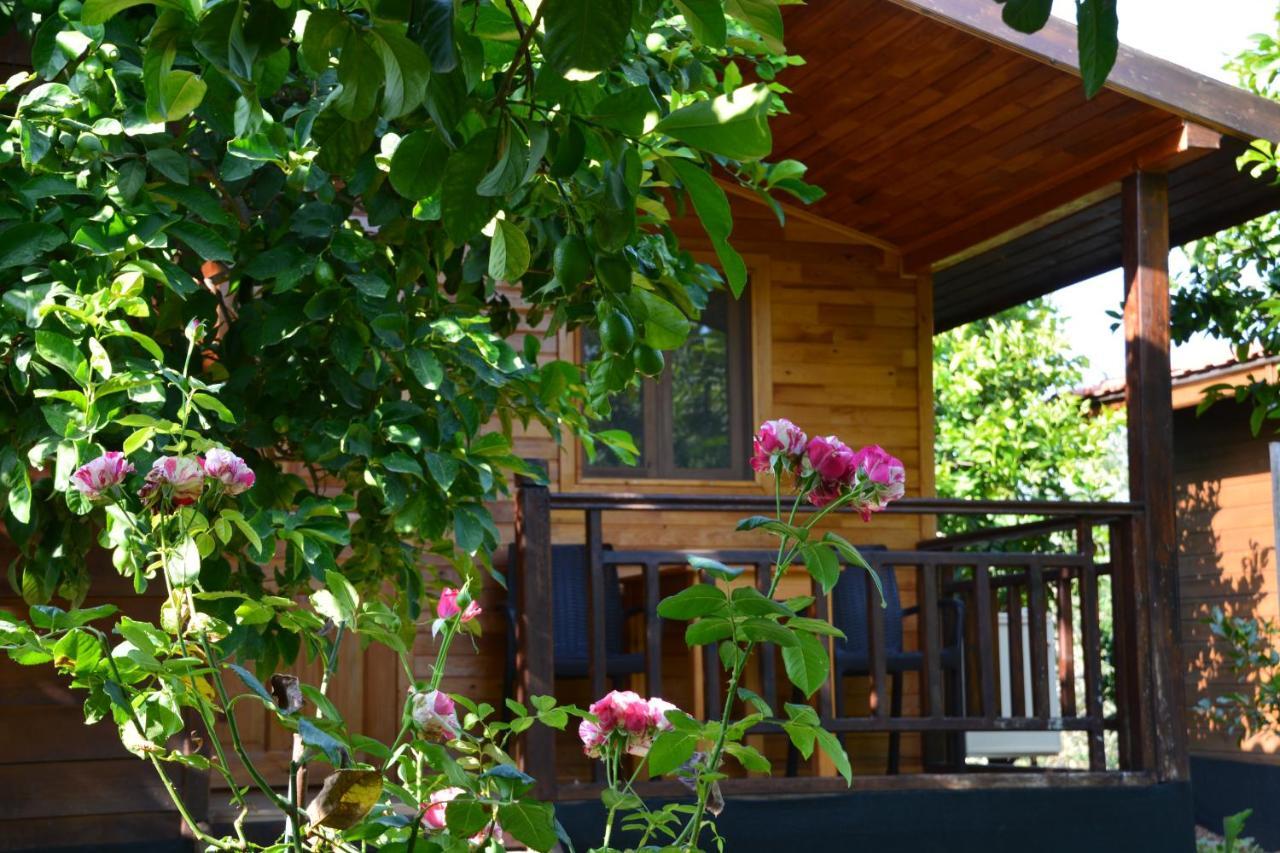 Lemon Garden Lodge Чирали Экстерьер фото