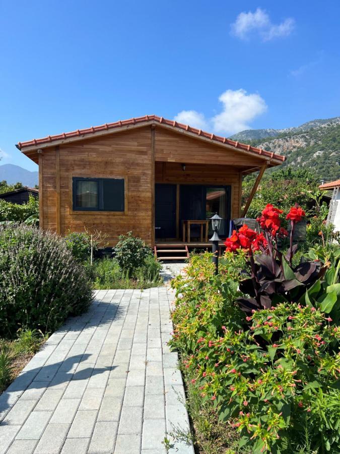 Lemon Garden Lodge Чирали Экстерьер фото