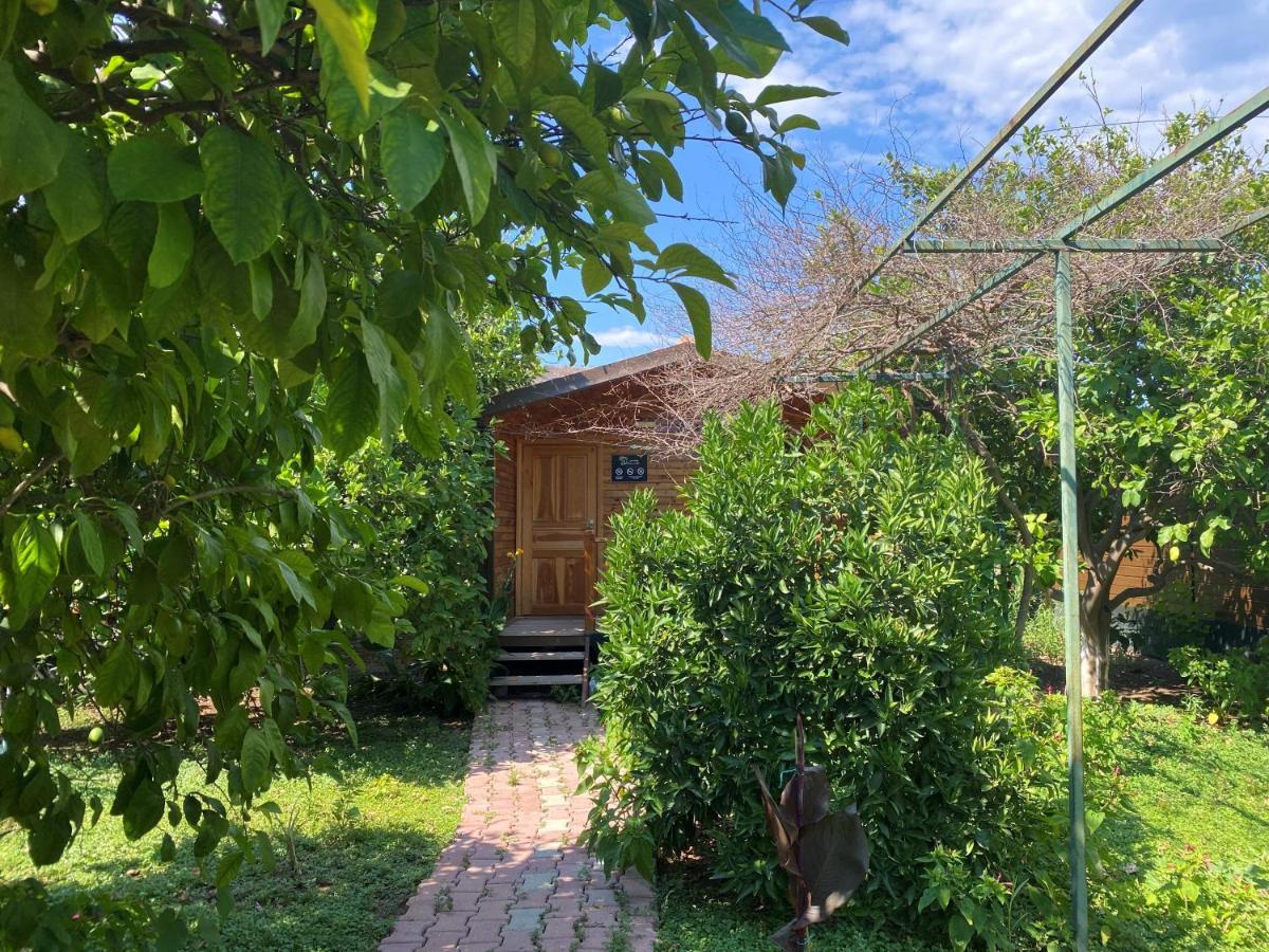 Lemon Garden Lodge Чирали Экстерьер фото