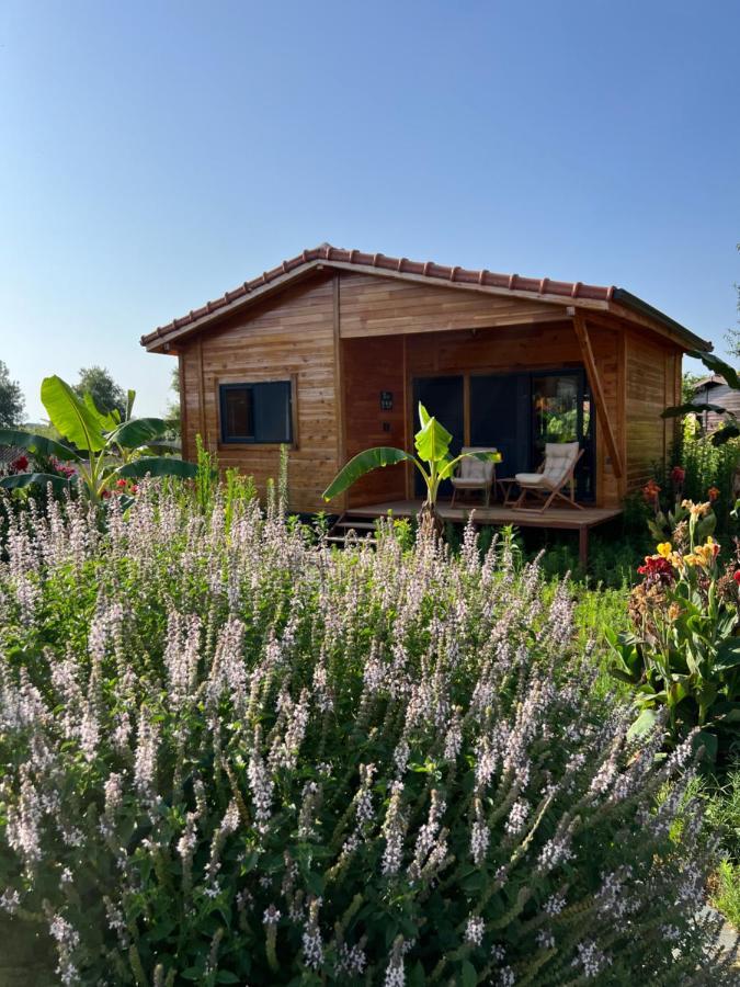 Lemon Garden Lodge Чирали Экстерьер фото
