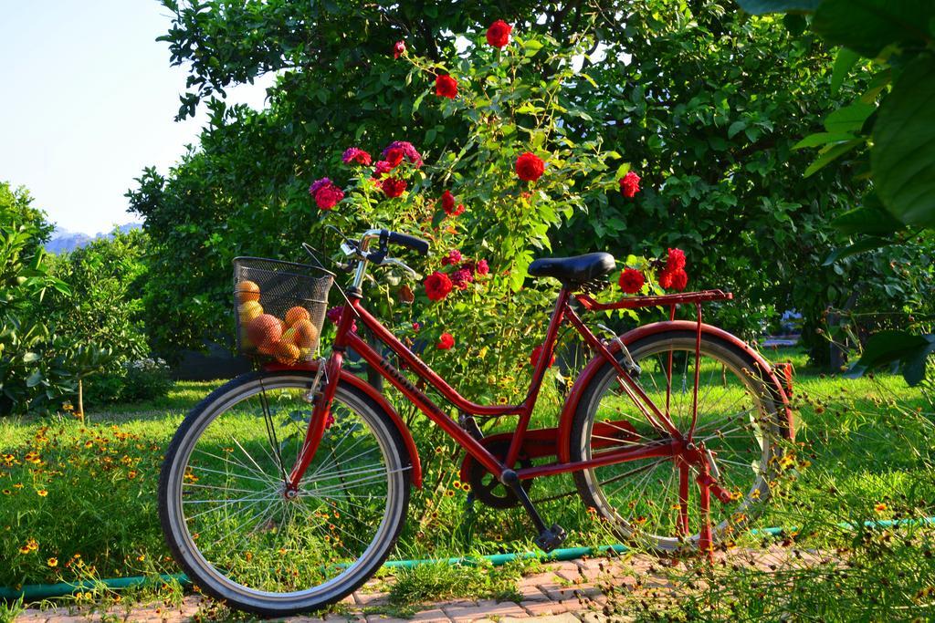 Lemon Garden Lodge Чирали Экстерьер фото