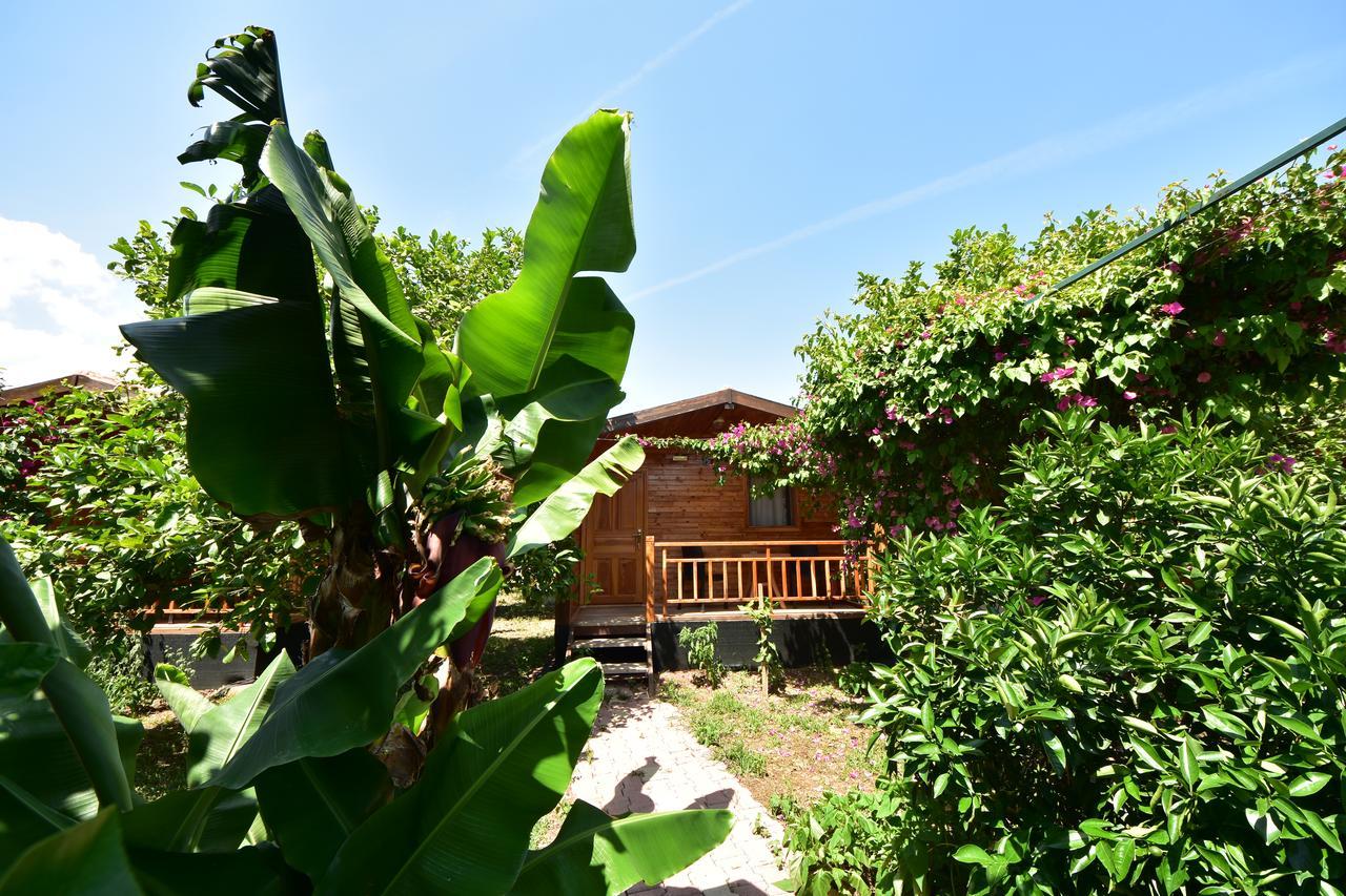 Lemon Garden Lodge Чирали Экстерьер фото