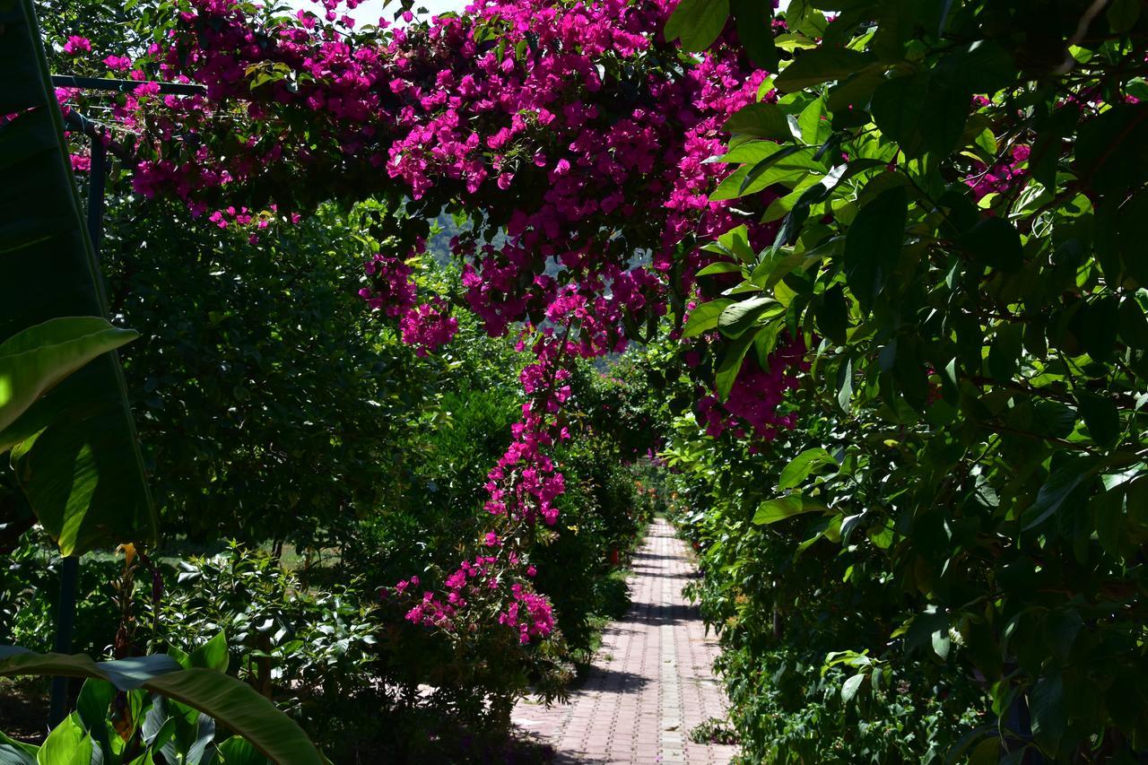 Lemon Garden Lodge Чирали Экстерьер фото